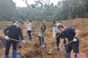 永新广州已打造首批32处“绿美宗教活动场所”